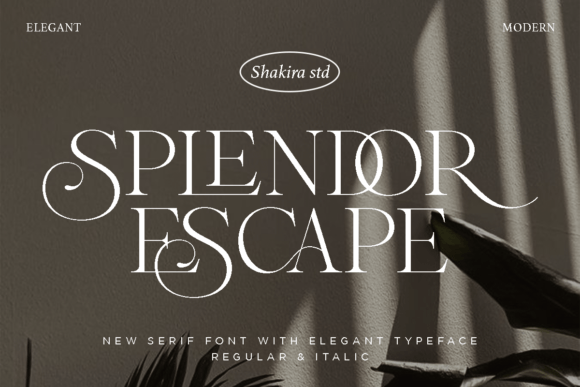 Splendor Escape Serif-Schriftarten Schriftart Von Shakira Studio