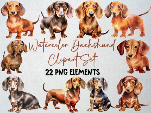 Watercolor Dachshund Clipart, Weiner PNG Graphic Illustrations By beyouenked