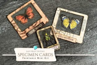 Specimen Cards Printable Mini Kit Afbeelding Grafische Objecten van Hoge Kwaliteit Door Emily Designs 1