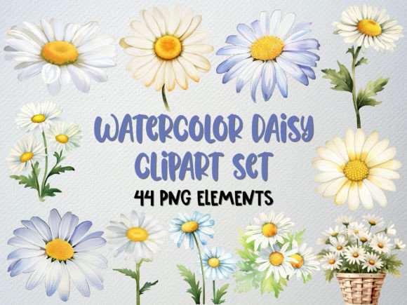 Watercolor Daisy Clipart, Floral Clipart Graphic Illustrations By beyouenked
