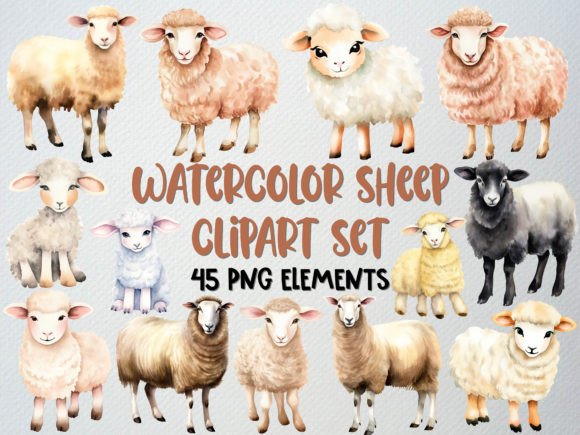 Watercolor Sheep Clipart Set, Lamb Png Grafica Illustrazioni Stampabili Di beyouenked