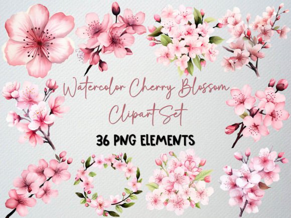 Watercolor Cherry Blossom Clipart,36 PNG Graphic Illustrations By beyouenked