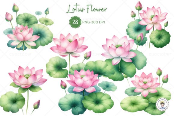 Watercolor Lotus Flower Clipart Gráfico Ilustraciones Imprimibles Por cuoctober