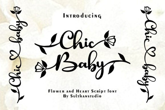 Chic Baby Script & Handwritten Font By Sulthan Studio