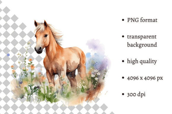 Cute Watercolor Baby Horse Clipart Illustration Illustrations Imprimables Par MashMashStickers