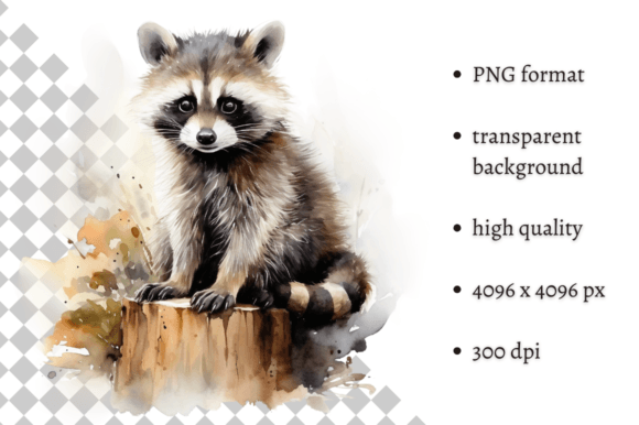 Watercolor Raccoon PNG Illustration Graphic Illustrations By MashMashStickers