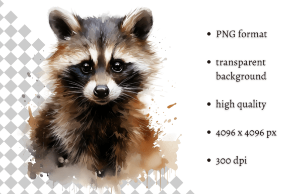 Watercolor Raccoon PNG Illustration Graphic Illustrations By MashMashStickers