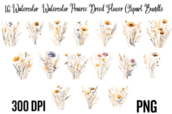 Watercolor Prairie Dried Flower Clipart Gráfico Ilustraciones Imprimibles Por Creative Flow