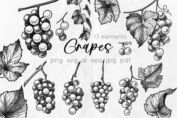 Grapes Line Art SVG Illustrations Graphic Illustrations By DervikArtStore
