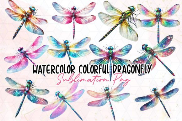 Watercolor Colorful Dragonfly Clipart Graphic Illustrations By Little Lady Design