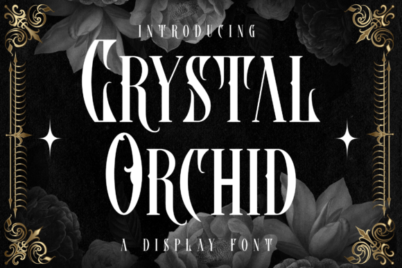 Crystal Orchid Blackletter Font By Dansdesign