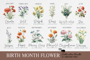 Birth Month Flower Clipart Bundle Graphic Crafts By Lazy Cat 1