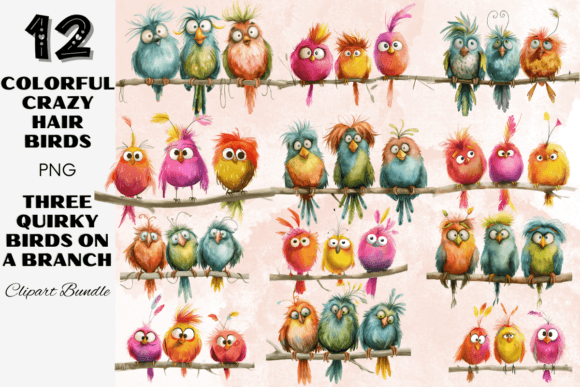Whimsical Birdies Crazy Quirky Hair Bird Graphic Illustrations By Painting Pixel Studio