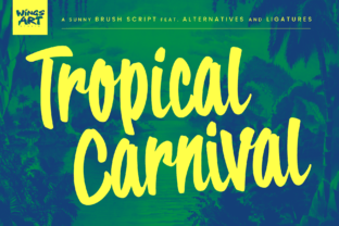 Tropical Carnival Script Fonts Font Door wingsart 1