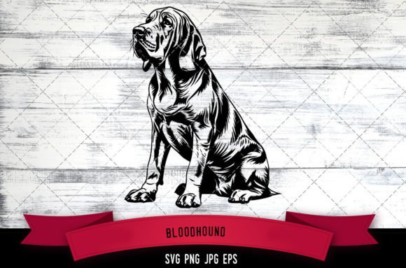 Bloodhound SVG, Dog SVG, Logo Gráfico Manualidades Por thesilhouettequeenshop