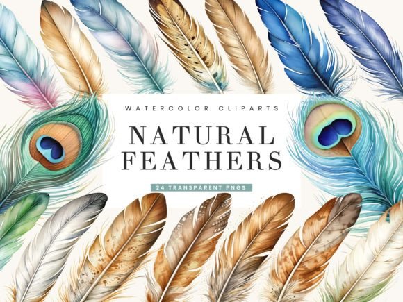 Watercolor Natural Feathers Clipart Afbeelding Afdrukbare Illustraties Door busydaydesign