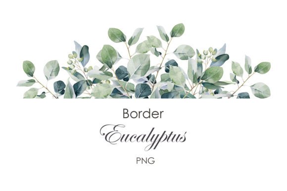 Watercolor Eucalyptus Border Clipart Graphic Illustrations By lesyaskripak.art