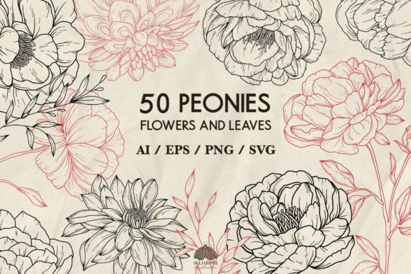 Peony Flowers Svg Png Eps Gráfico Ilustraciones Imprimibles Por HappyWatercolorShop