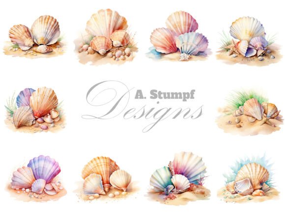 Seashells on Sand Watercolor Clipart Set Grafik Druckbare Illustrationen Von Andreas Stumpf Designs