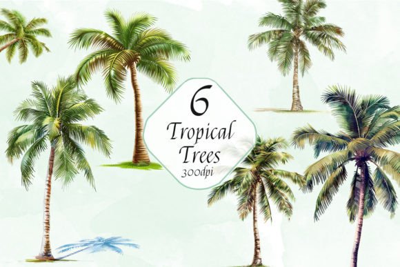 Tropical Palm Trees Summer Clipart Set Graphic Illustrations By ArtCursor