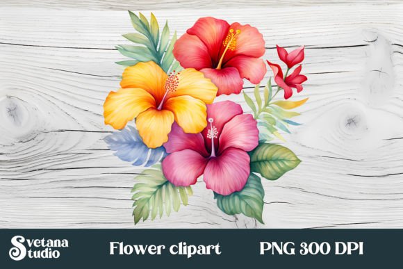 Hibiscus Flower Clipart PNG Grafika Ilustracje do Druku Przez Svetlanakrasdesign