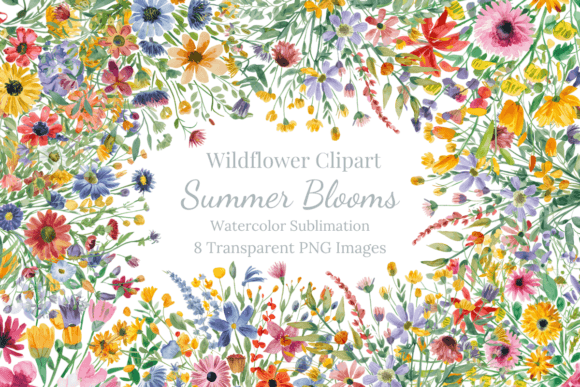 Summer Blooms Wildflower Sublimation PNG Graphic Illustrations By Dream Floral Studio