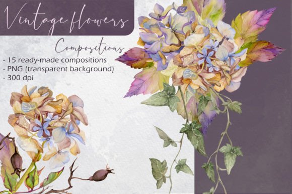 Vintage Flower Compositions and Bouquets Graphic Illustrations By msflaffy