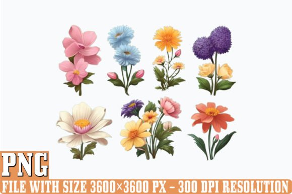 Birth Month Flowers PNG Clipart Grafica Illustrazioni Stampabili Di DESIGN STORE