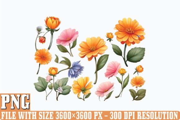 Birth Month Flowers PNG Clipart Illustration Illustrations Imprimables Par DESIGN STORE