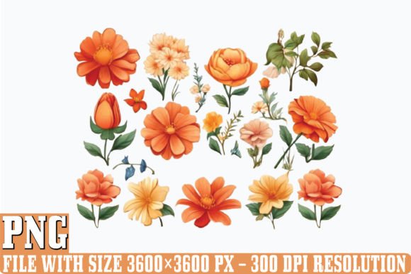 Birth Month Flowers PNG Clipart Gráfico Ilustraciones Imprimibles Por DESIGN STORE