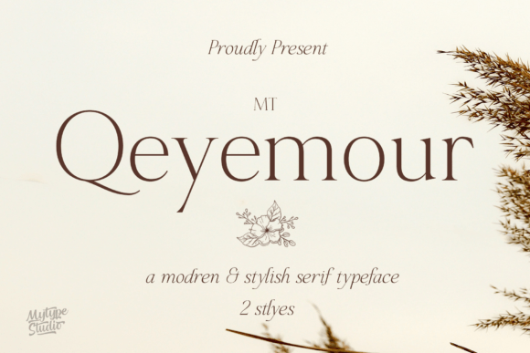 Mt Qeyemour Serif-Schriftarten Schriftart Von Mytype Studio
