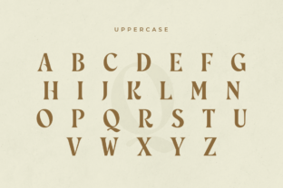 Rosebud Serif Font By sensatype 11
