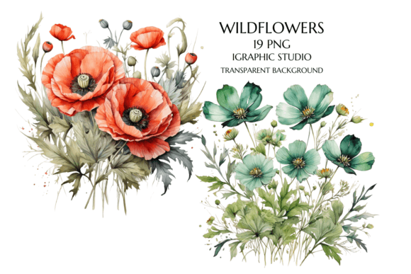 Wildflower Clipart Floral, Poppy Clipart Gráfico Ilustraciones Imprimibles Por Igraphic Studio