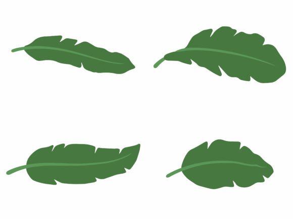 Banana Leaf Tropical Leaves Illustration Graphic Illustrations By PurMoon