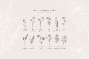 Birth Month Flowers, Botanicals Grafik Druckbare Illustrationen Von Olya.Creative 1