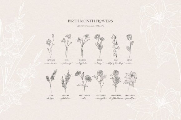 Birth Month Flowers, Botanicals Graphic Illustrations By Olya.Creative