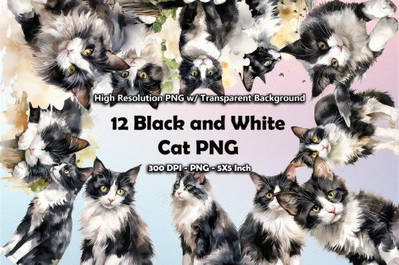 12 Black and White Cat Clipart PNG Graphic Illustrations By printztopbrand