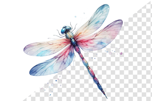 Watercolor Dragonfly Clipart Gráfico Ilustraciones Imprimibles Por Design Store