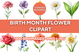 Birth Month Flower Clipart Bundle Graphic Illustrations By ProDesigner21 1