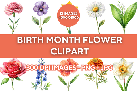 Birth Month Flower Clipart Bundle Gráfico Ilustraciones Imprimibles Por ProDesigner21