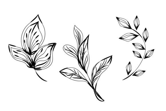 Nature Leaves Ornament Design Graphic 3D SVG By st