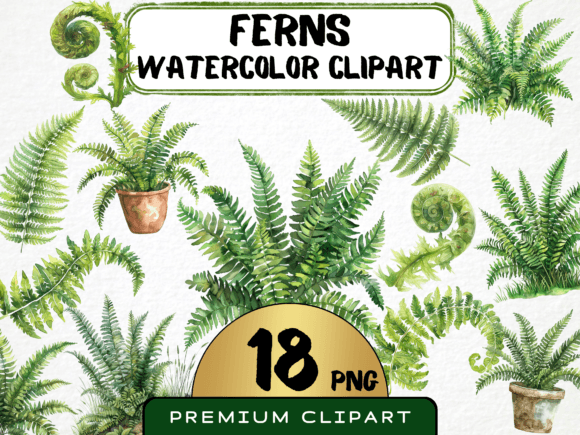Watercolor Ferns Clipart Bundle Gráfico Ilustraciones Imprimibles Por MokoDE