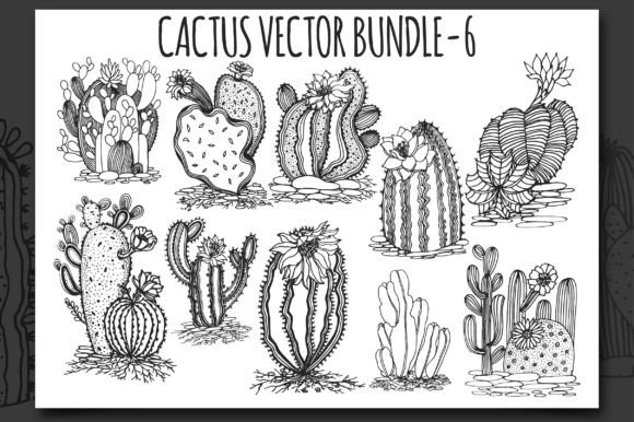 Cactus Vector Bundle-6 Graphic Illustrations By Pick Craft
