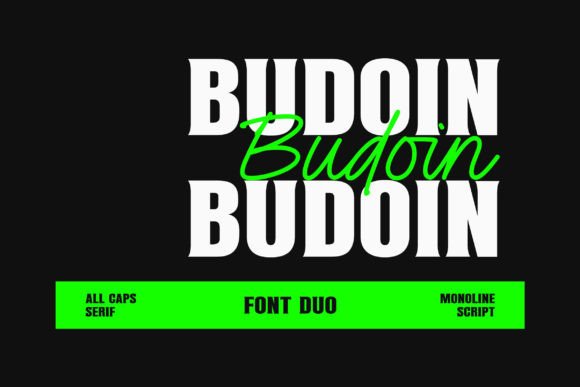 Budoin Sans Serif Font By lemonthe