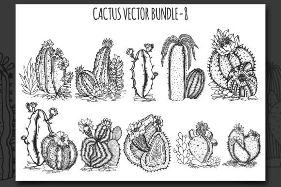 Cactus Vector Bundle-8 Graphic Illustrations By Pick Craft