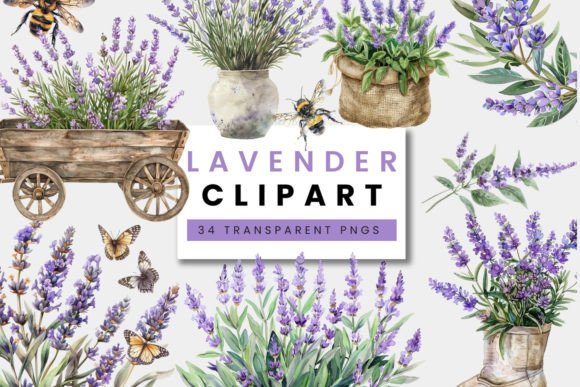 Watercolor Lavender Clipart Set | Flower Graphic Illustrations By Clipcraft