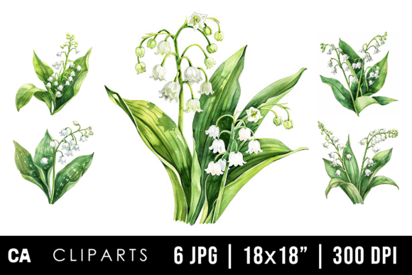 Watercolor Lily of the Valley Cliparts Graphic Illustrations By Chinnisha Arts