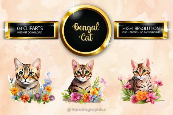 Bengal Clipart Bundle 04 Variations Afbeelding AI Illustraties Door Hurairagraphics