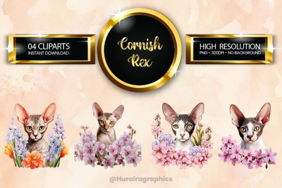Cornish Rex Clipart Bundle 04 Variations Afbeelding AI Illustraties Door Hurairagraphics