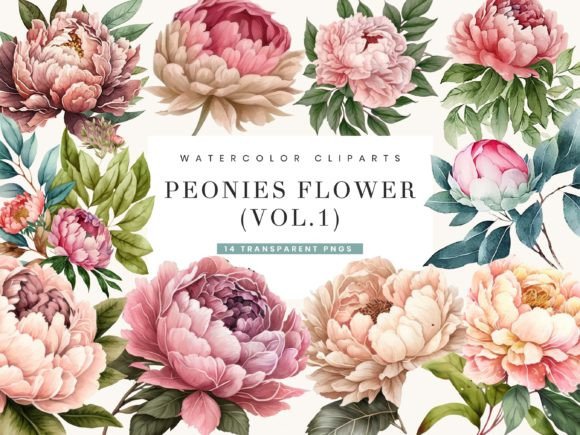 Watercolor Peonies Flowers Clipart Vol.1 Grafik Druckbare Illustrationen Von busydaydesign